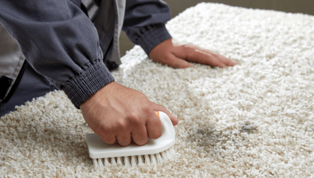 Professional Rug Cleaning Seddon